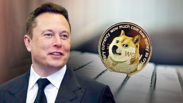Elon Musks New Favorite Cryptocurrency Is It DOGE or BTC USD?